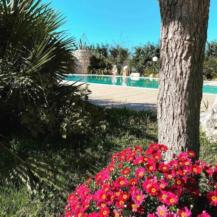 Pugliaholidayplus - Villa Cassano Polignano a Mare Eksteriør bilde